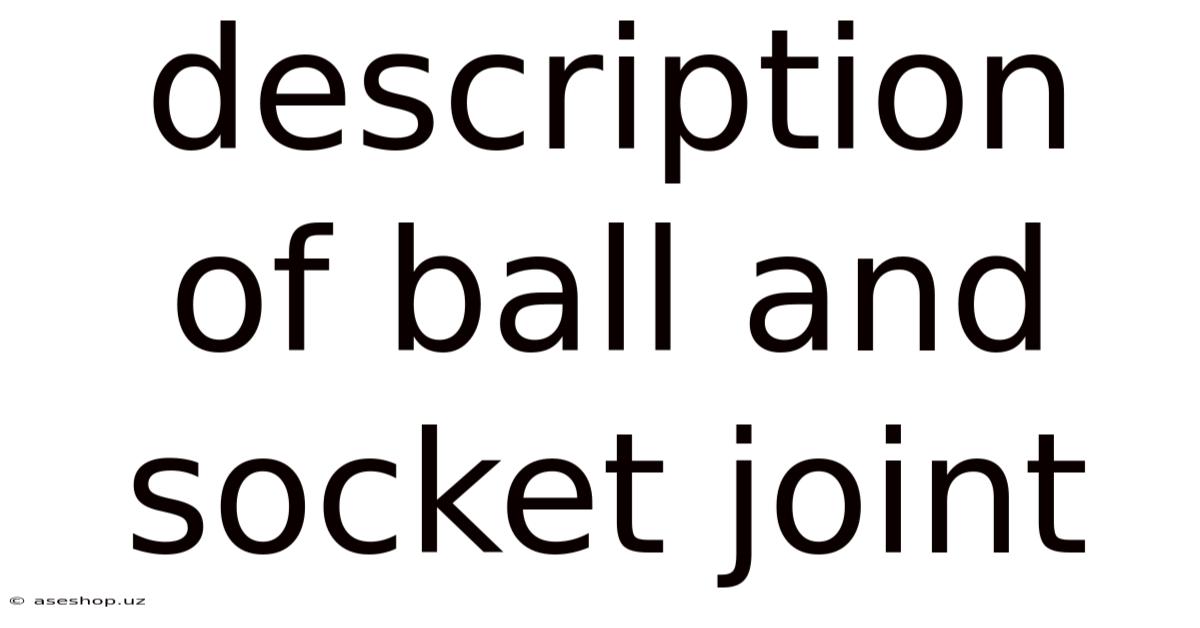 Description Of Ball And Socket Joint