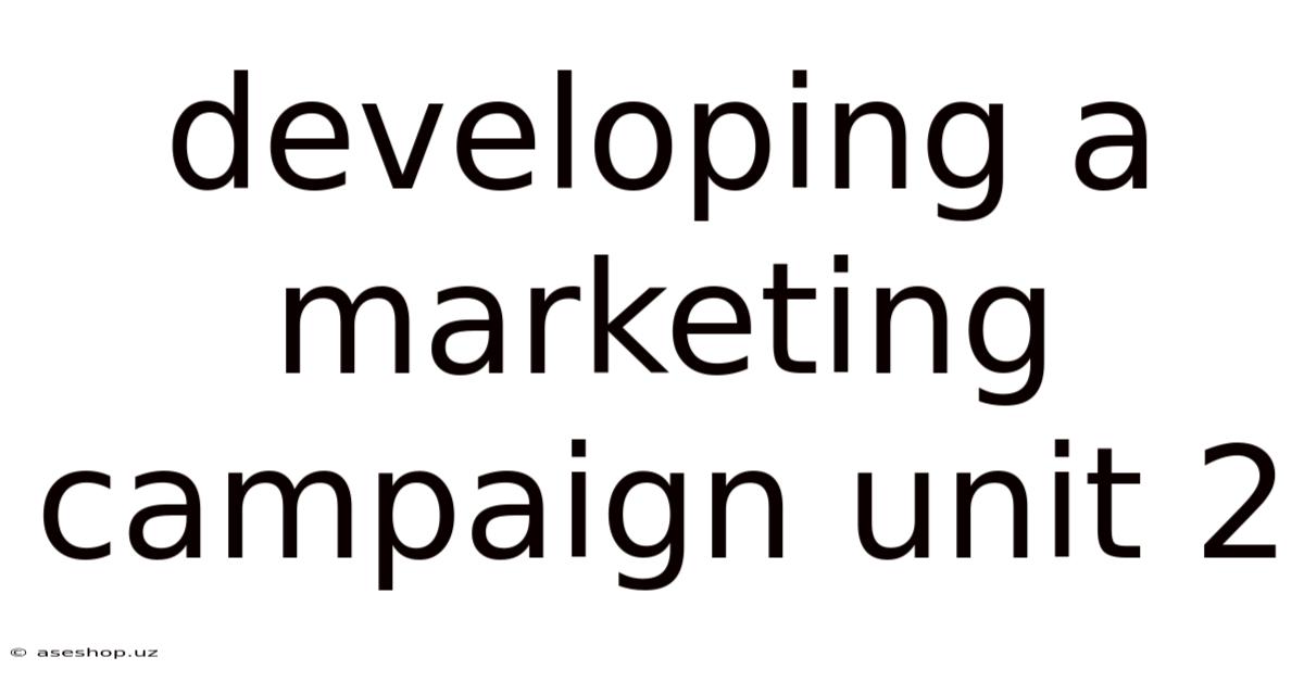 Developing A Marketing Campaign Unit 2