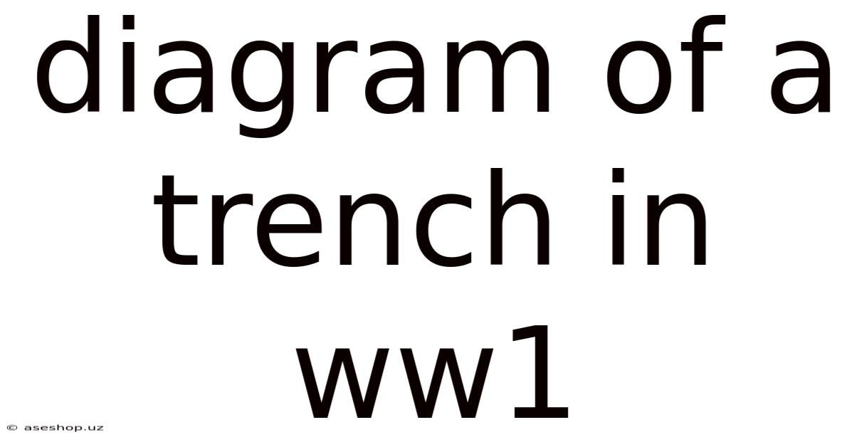 Diagram Of A Trench In Ww1