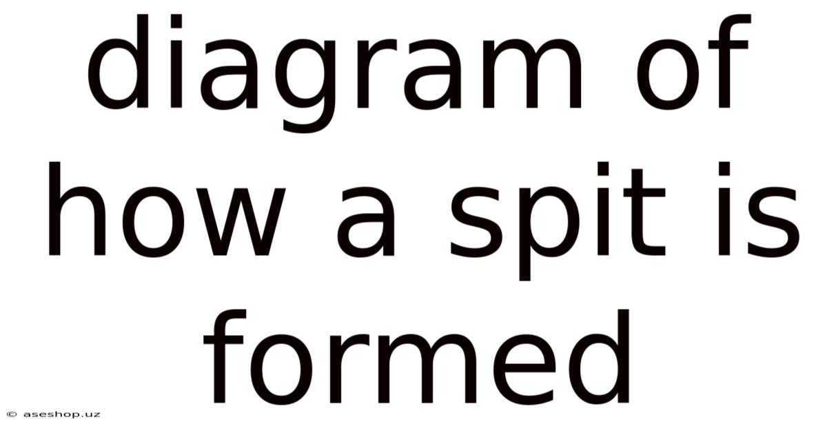 Diagram Of How A Spit Is Formed