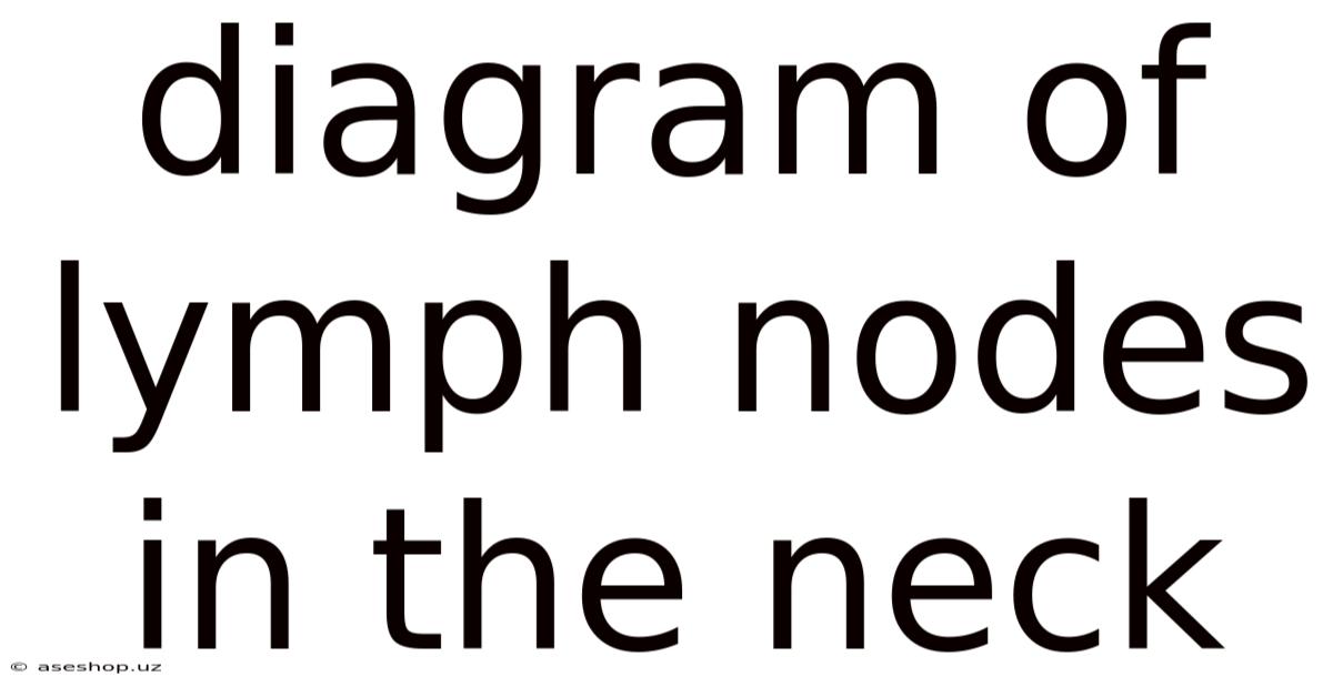 Diagram Of Lymph Nodes In The Neck