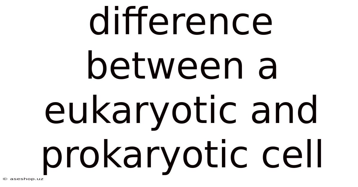 Difference Between A Eukaryotic And Prokaryotic Cell