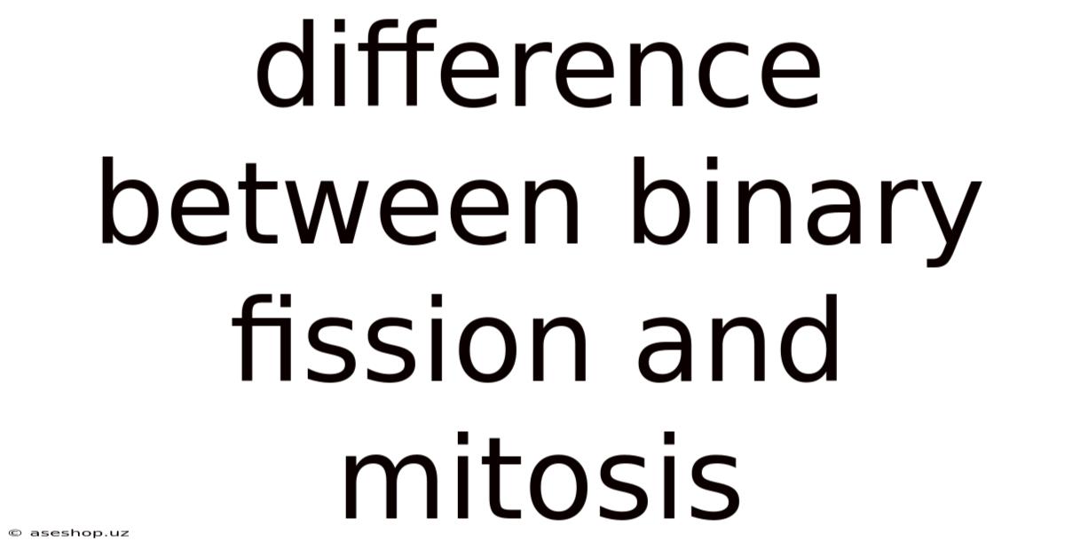 Difference Between Binary Fission And Mitosis