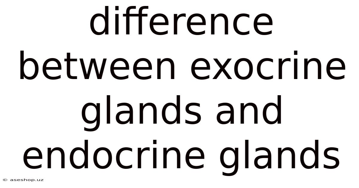 Difference Between Exocrine Glands And Endocrine Glands
