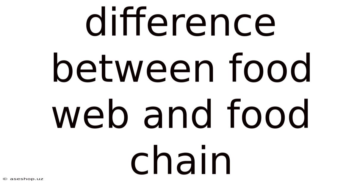 Difference Between Food Web And Food Chain