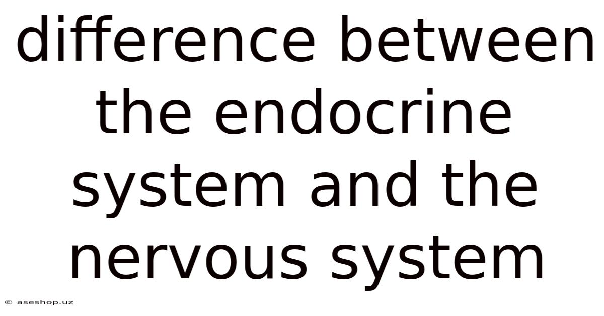 Difference Between The Endocrine System And The Nervous System