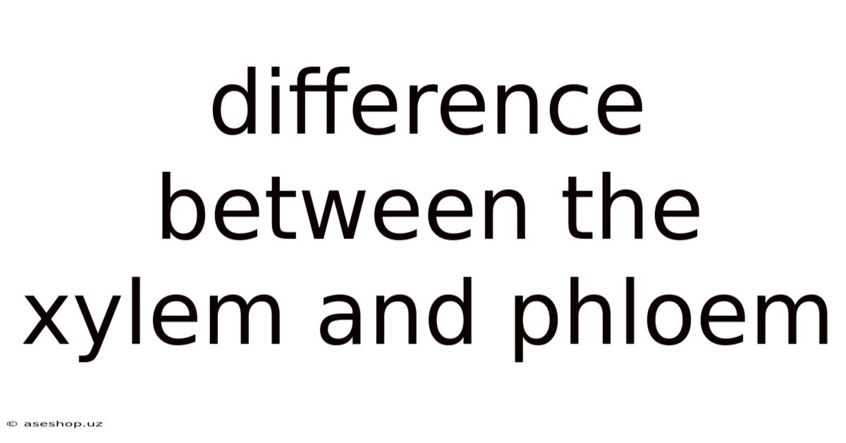 Difference Between The Xylem And Phloem