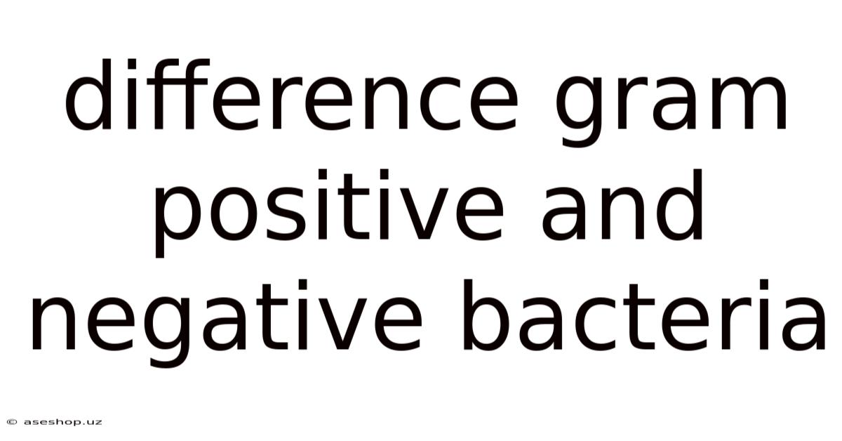 Difference Gram Positive And Negative Bacteria