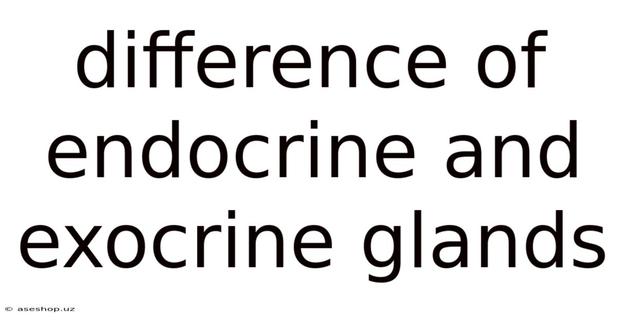 Difference Of Endocrine And Exocrine Glands
