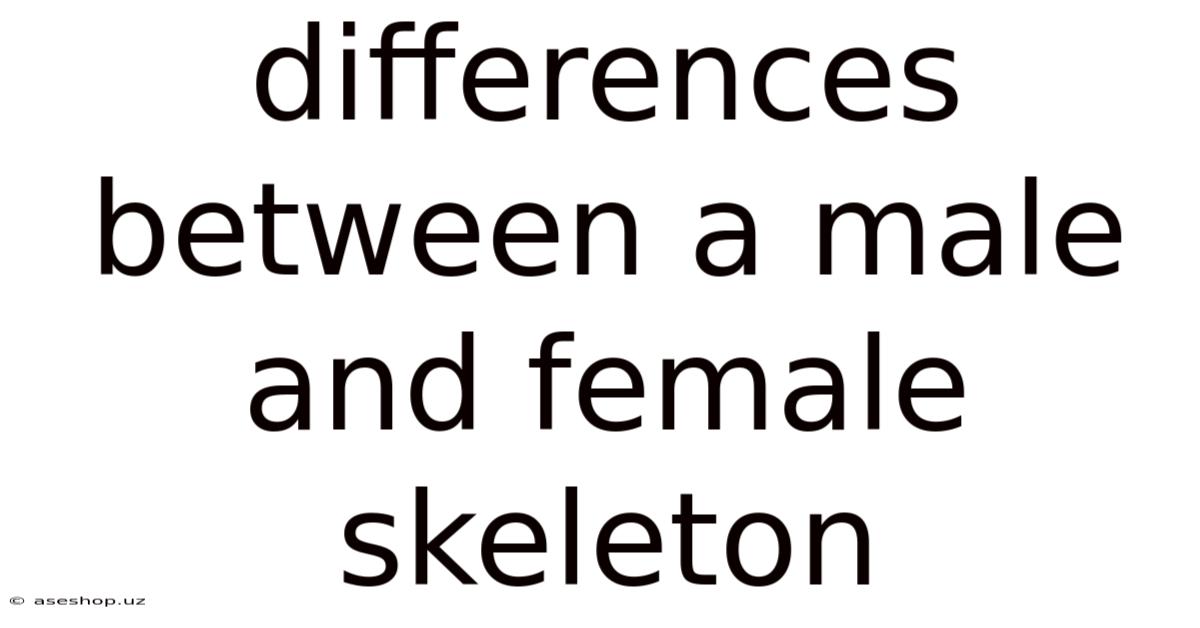 Differences Between A Male And Female Skeleton
