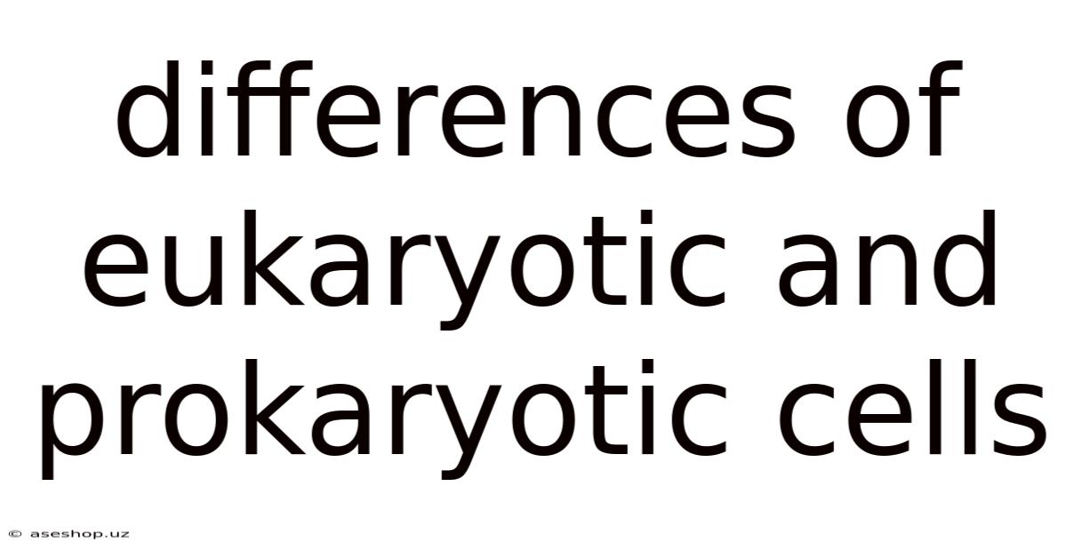 Differences Of Eukaryotic And Prokaryotic Cells