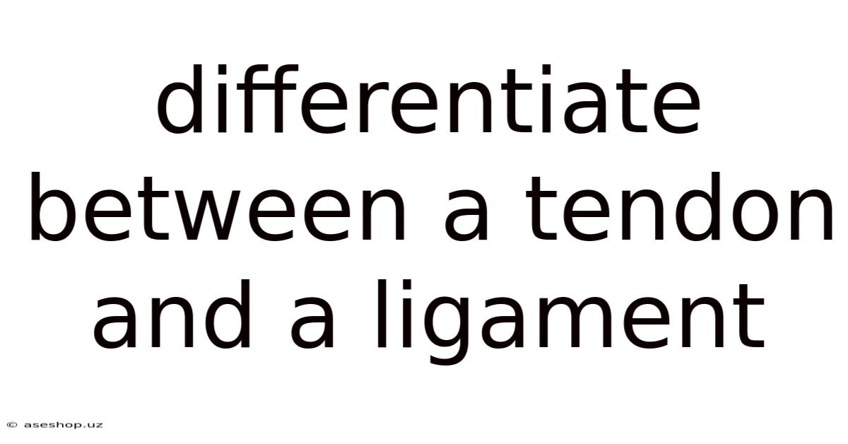 Differentiate Between A Tendon And A Ligament
