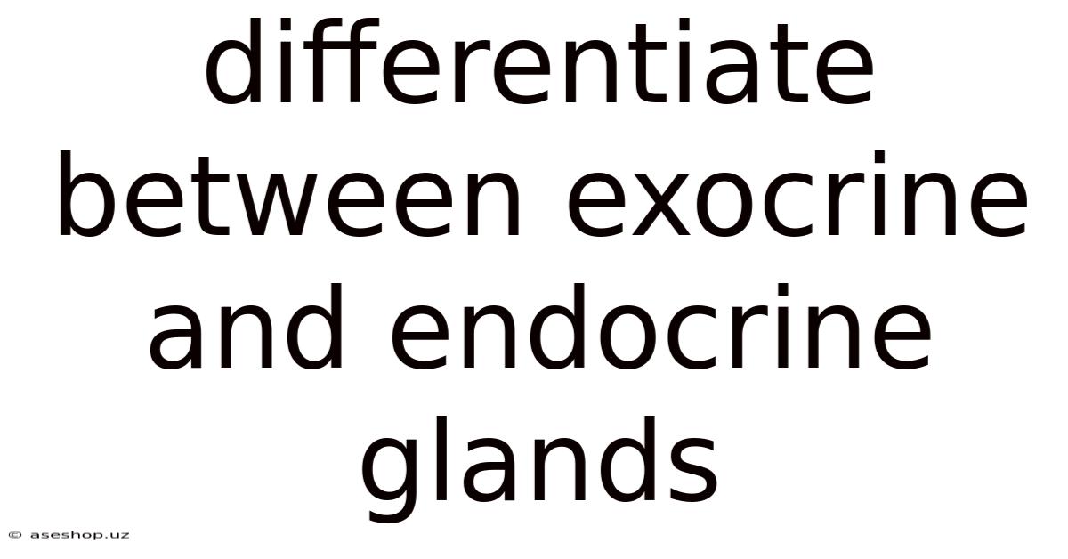 Differentiate Between Exocrine And Endocrine Glands