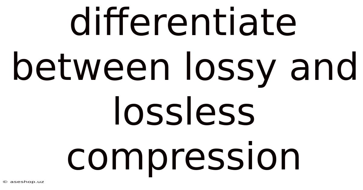 Differentiate Between Lossy And Lossless Compression