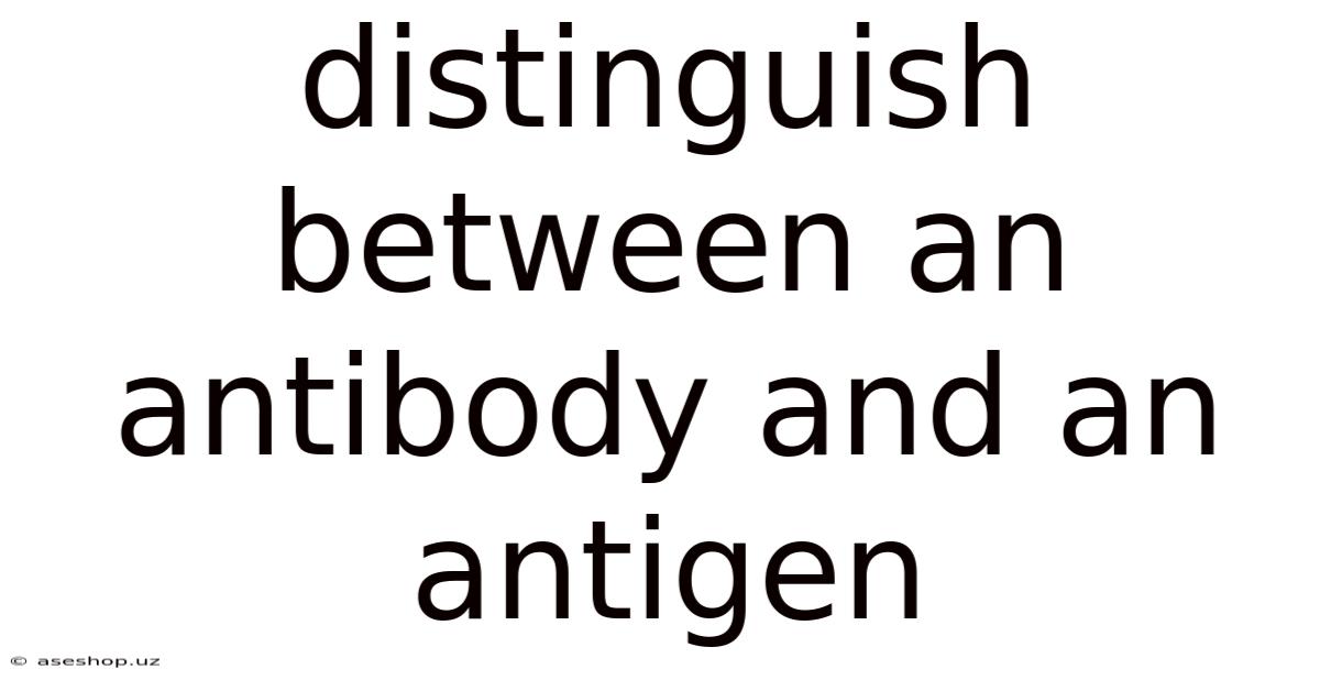 Distinguish Between An Antibody And An Antigen