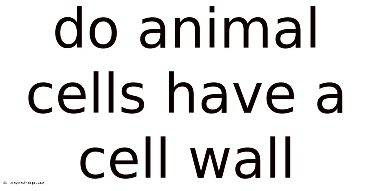 Do Animal Cells Have A Cell Wall