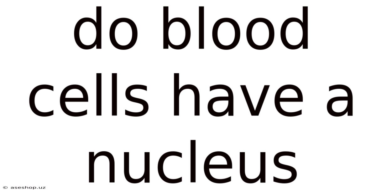 Do Blood Cells Have A Nucleus