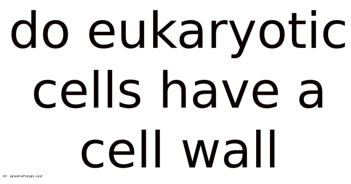 Do Eukaryotic Cells Have A Cell Wall