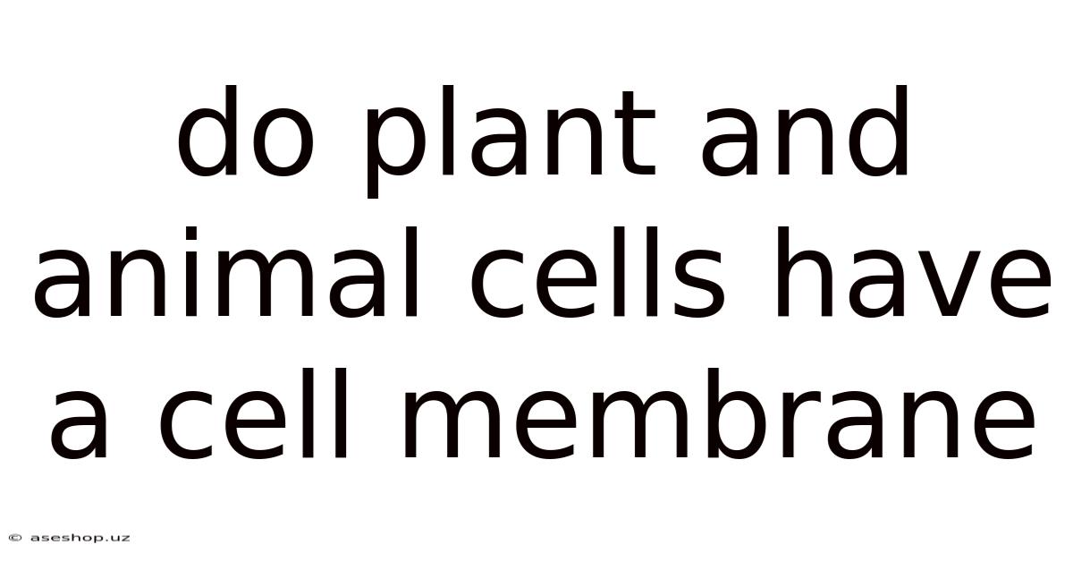 Do Plant And Animal Cells Have A Cell Membrane