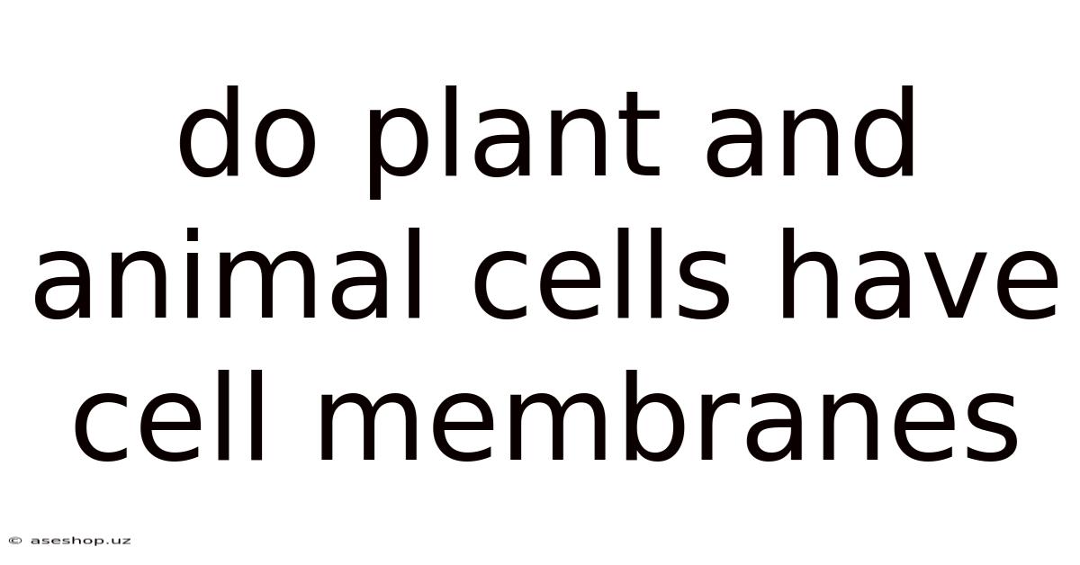Do Plant And Animal Cells Have Cell Membranes