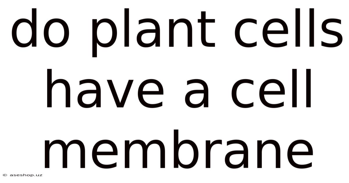 Do Plant Cells Have A Cell Membrane