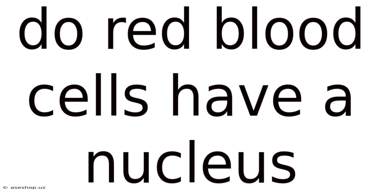 Do Red Blood Cells Have A Nucleus