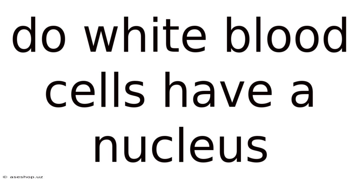 Do White Blood Cells Have A Nucleus