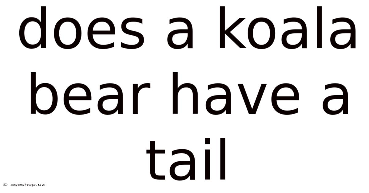 Does A Koala Bear Have A Tail