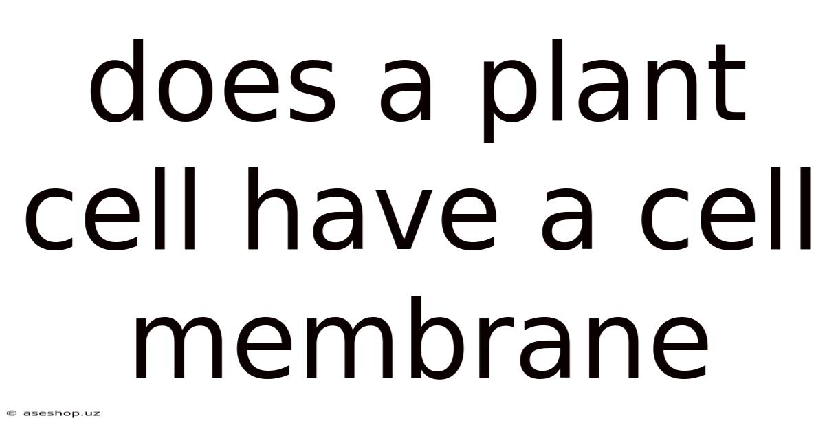 Does A Plant Cell Have A Cell Membrane