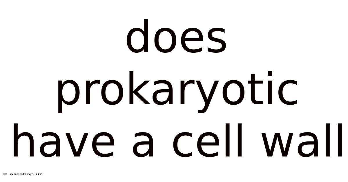 Does Prokaryotic Have A Cell Wall