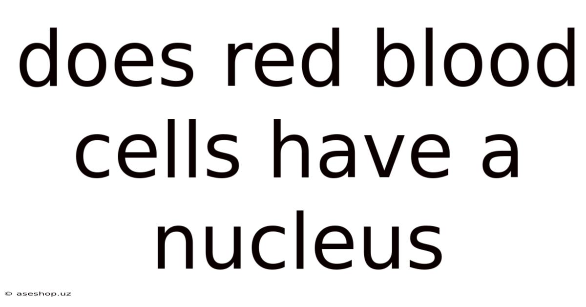 Does Red Blood Cells Have A Nucleus