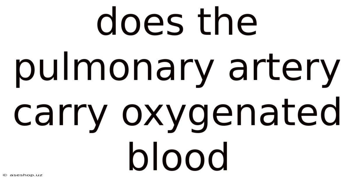 Does The Pulmonary Artery Carry Oxygenated Blood
