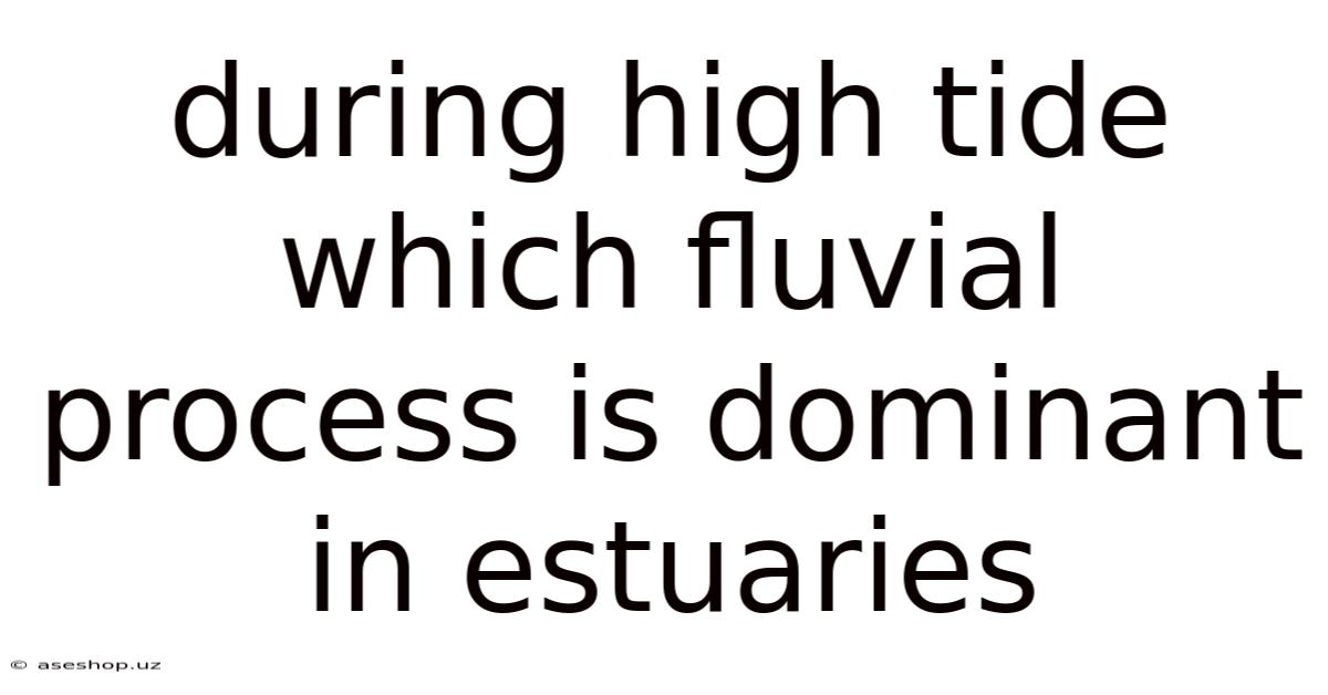 During High Tide Which Fluvial Process Is Dominant In Estuaries