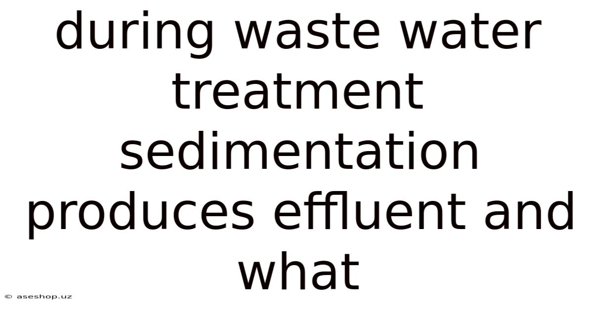 During Waste Water Treatment Sedimentation Produces Effluent And What
