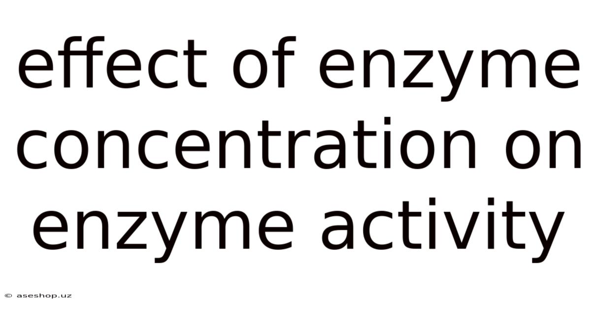 Effect Of Enzyme Concentration On Enzyme Activity