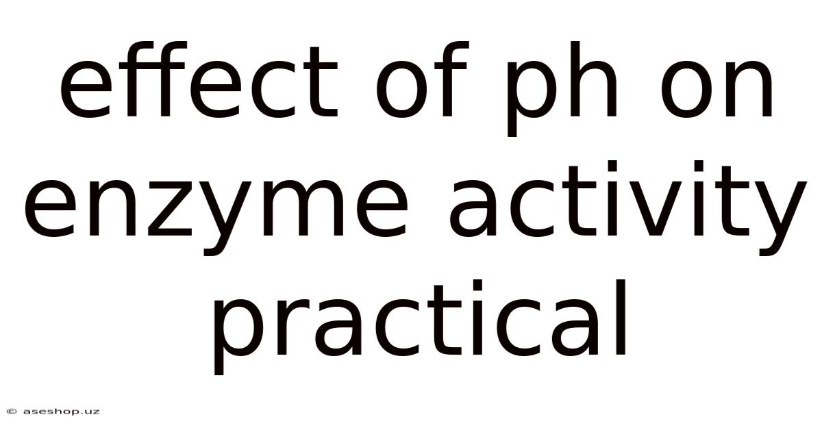 Effect Of Ph On Enzyme Activity Practical