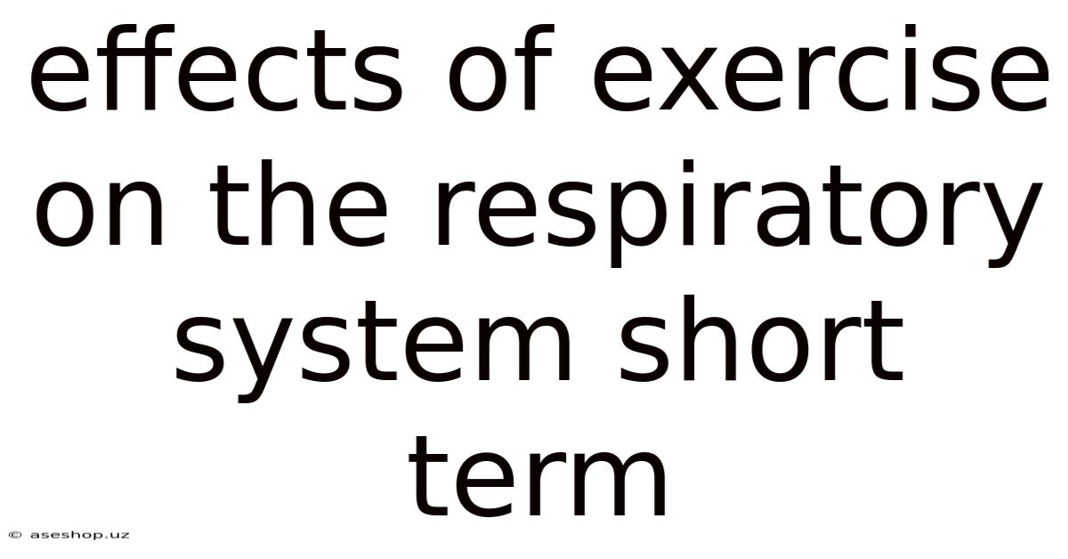 Effects Of Exercise On The Respiratory System Short Term