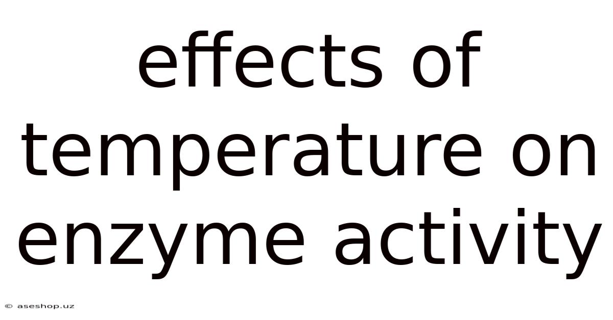 Effects Of Temperature On Enzyme Activity
