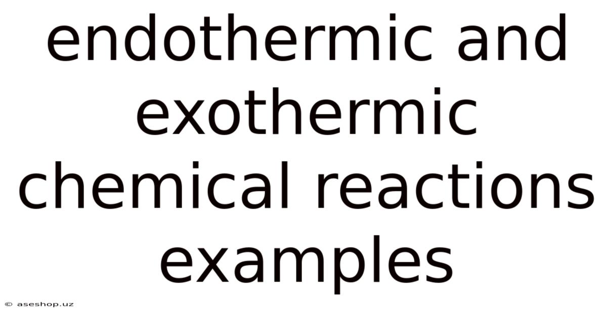 Endothermic And Exothermic Chemical Reactions Examples