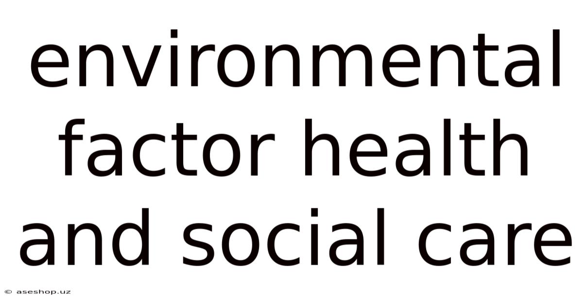 Environmental Factor Health And Social Care
