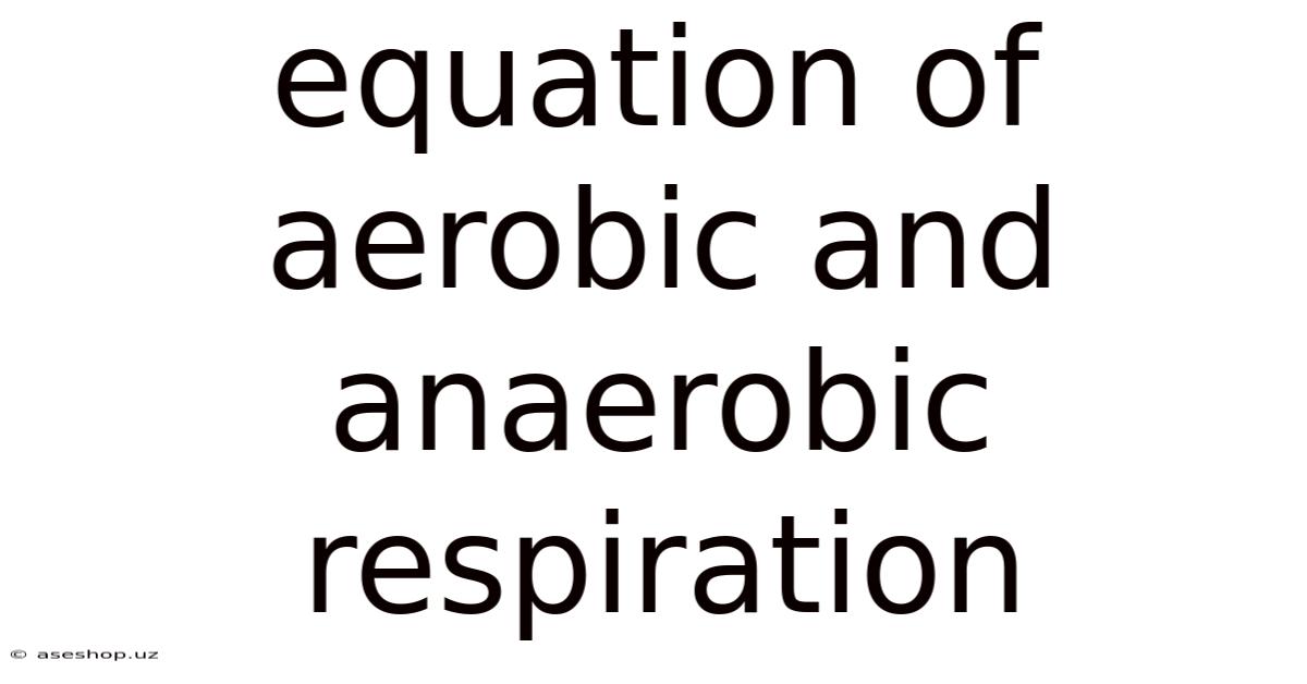 Equation Of Aerobic And Anaerobic Respiration