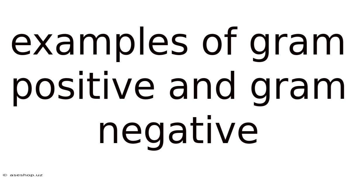 Examples Of Gram Positive And Gram Negative