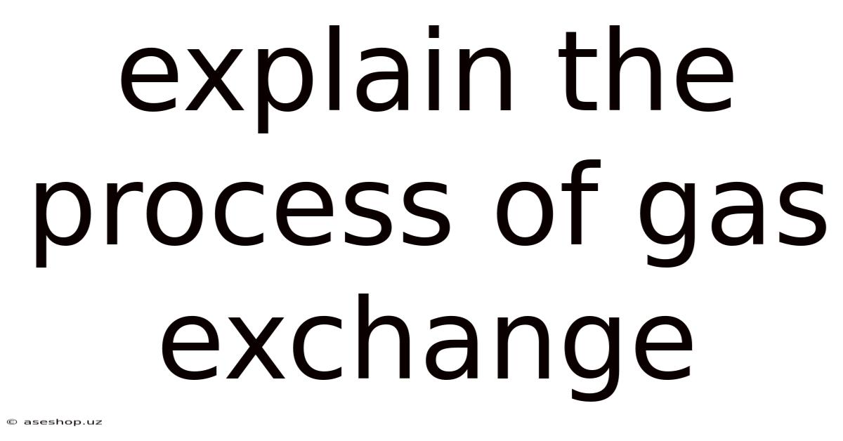 Explain The Process Of Gas Exchange