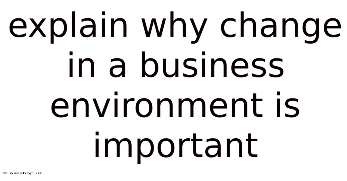 Explain Why Change In A Business Environment Is Important