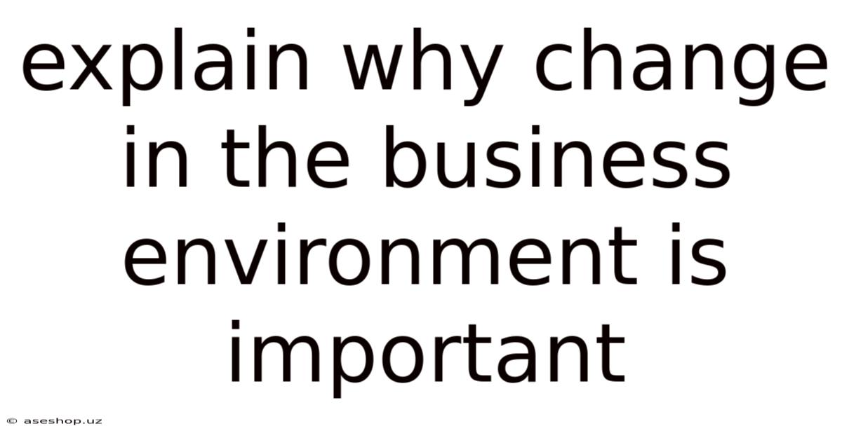 Explain Why Change In The Business Environment Is Important