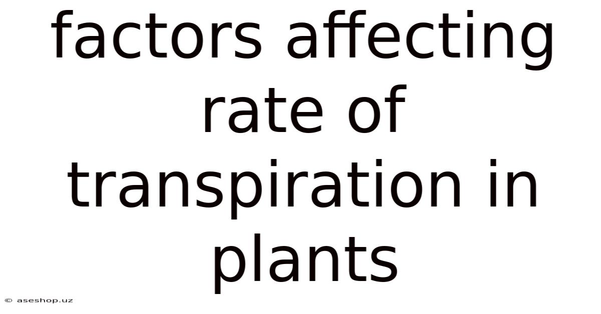 Factors Affecting Rate Of Transpiration In Plants