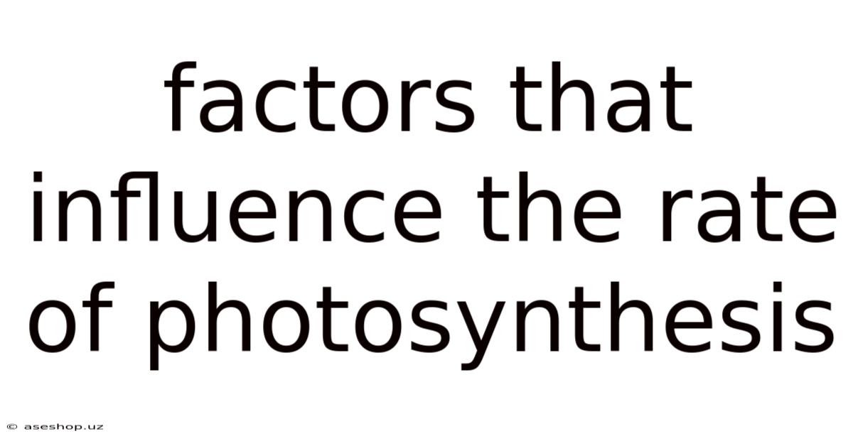 Factors That Influence The Rate Of Photosynthesis