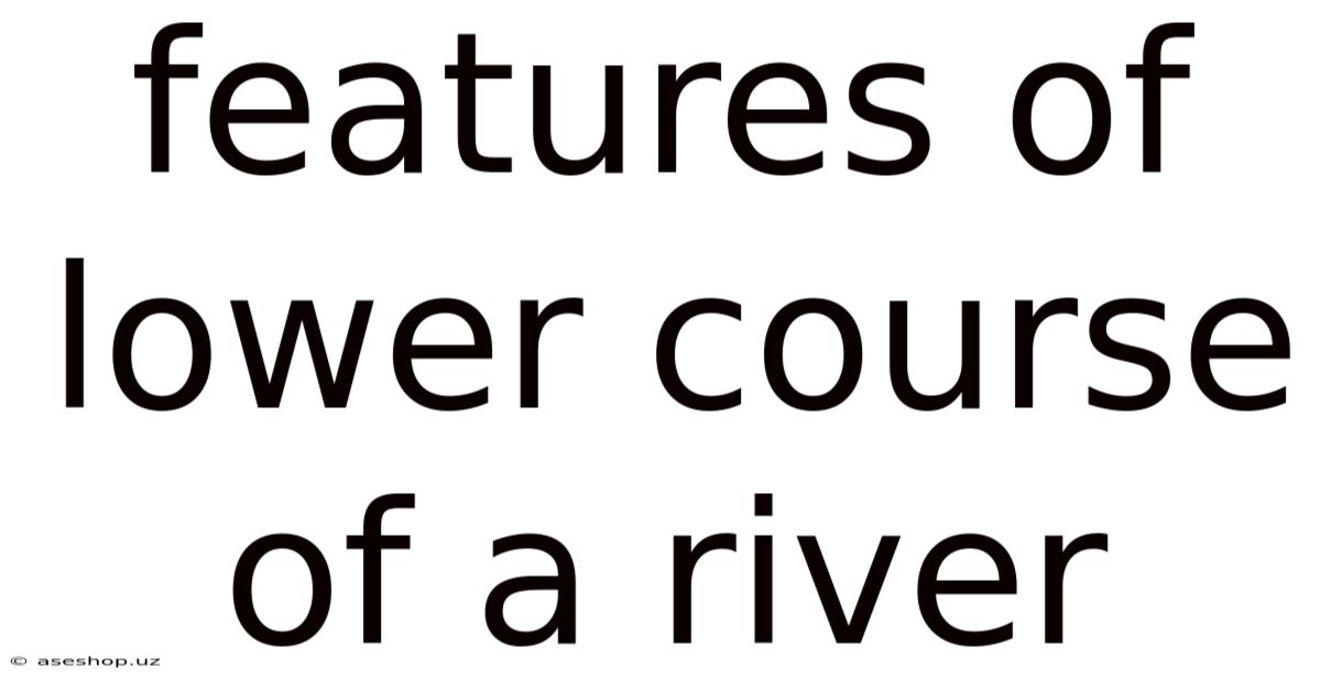 Features Of Lower Course Of A River