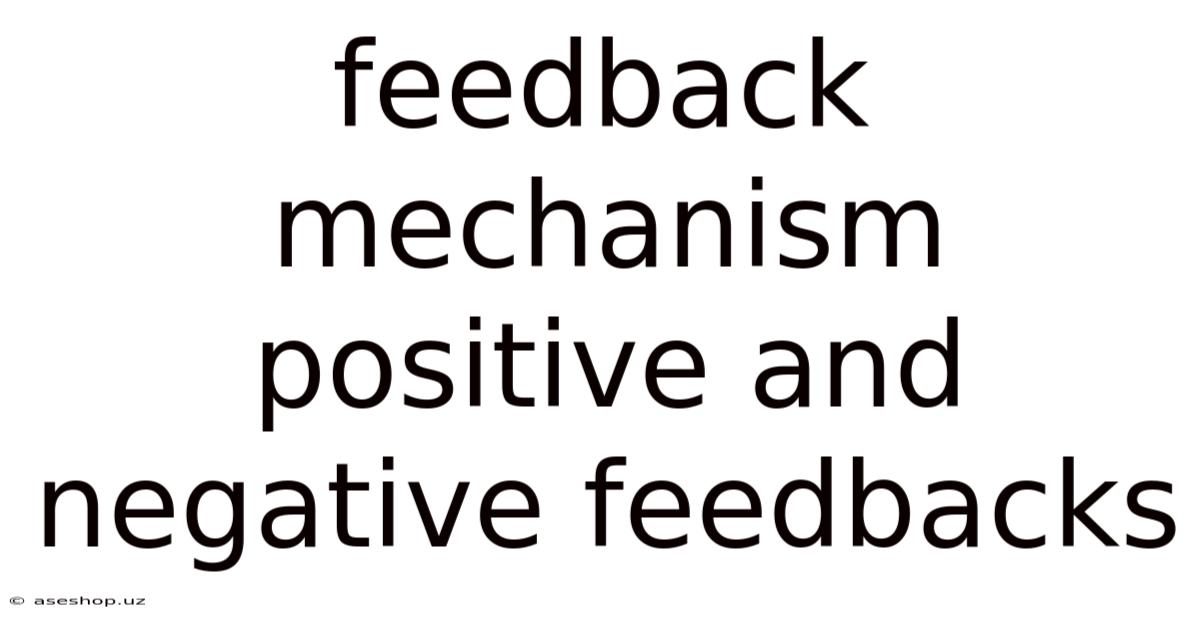 Feedback Mechanism Positive And Negative Feedbacks