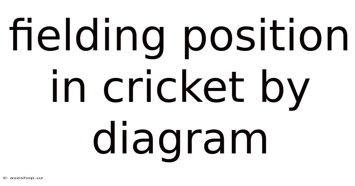 Fielding Position In Cricket By Diagram